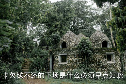 卡欠钱不还的下场是什么必须早点知晓