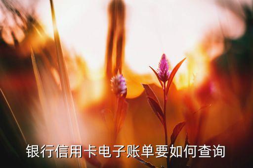 各银行信用卡电子账单查询,邮储银行信用卡账单查询