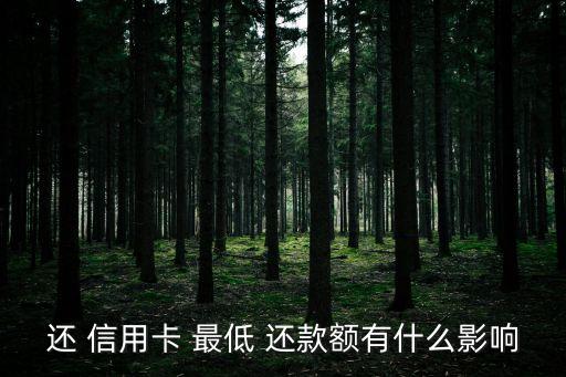 信用卡最低还款征信显示n