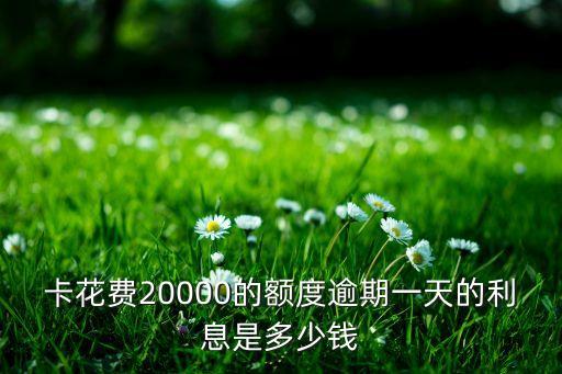 卡花费20000的额度逾期一天的利息是多少钱