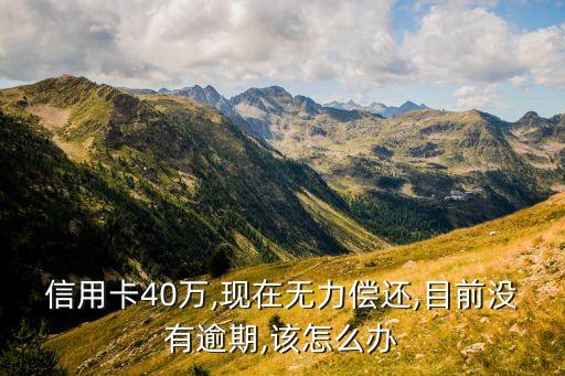 信用卡40万,现在无力偿还,目前没有逾期,该怎么办