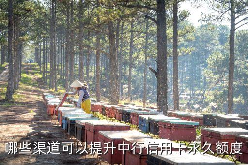 哪些渠道可以提升中行信用卡永久额度