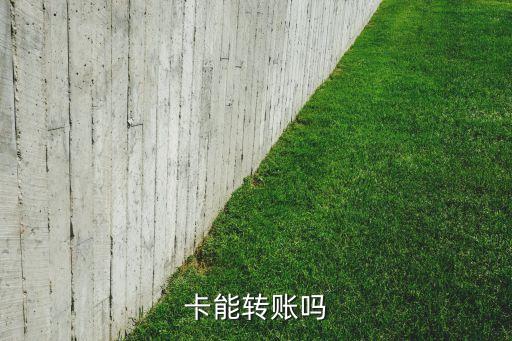 卡能转账吗