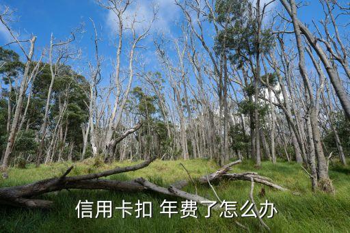 中国银行信用卡年费退款