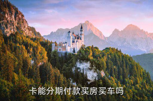 卡能分期付款买房买车吗