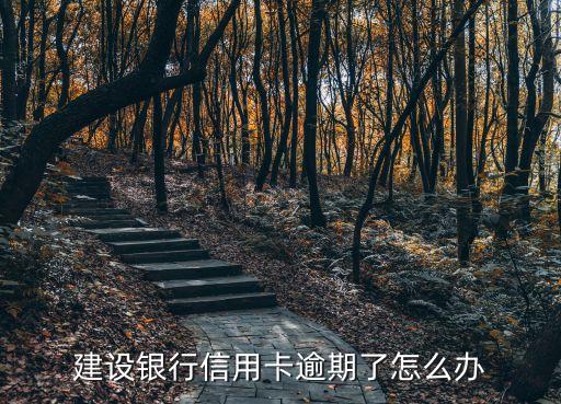 建设银行信用卡逾期了怎么办