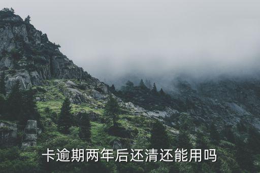 卡逾期两年后还清还能用吗