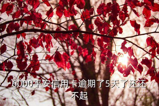 6000平安信用卡逾期了5天了还还不起