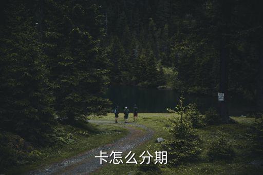 卡怎么分期