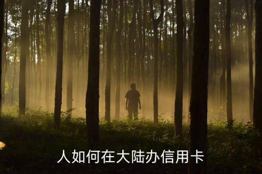 人如何在大陆办信用卡