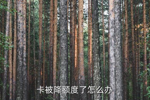 信用卡提醒降额度怎么办,平安信用卡被降级怎么办?