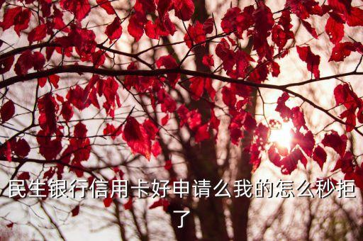 民生银行信用卡好申请么我的怎么秒拒了
