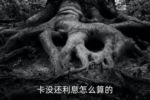 卡没还利息怎么算的