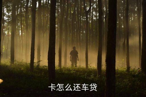 车贷房贷用什么信用卡还款,有车贷、房贷、信用卡要审批吗?