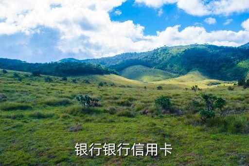银行银行信用卡