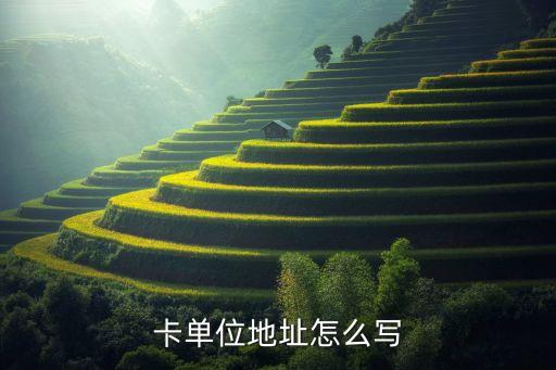 卡单位地址怎么写