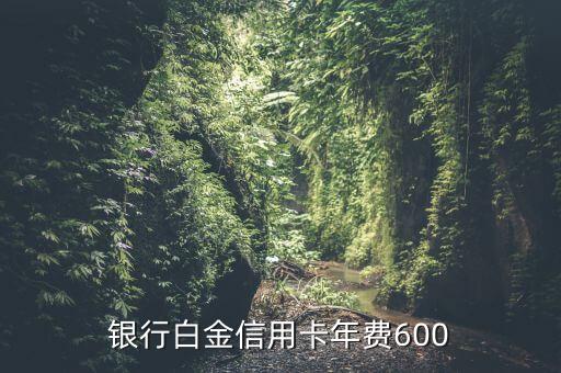 银行白金信用卡年费600