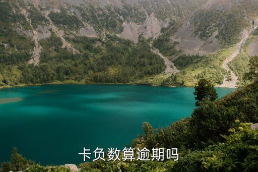 卡负数算逾期吗