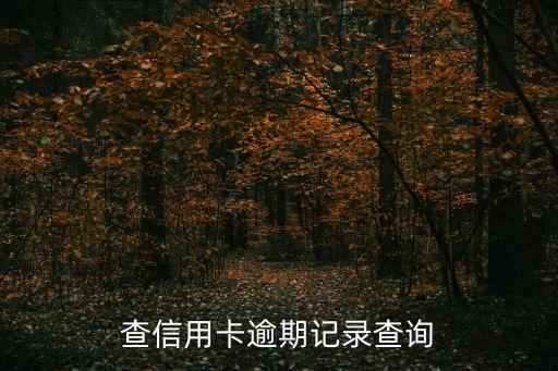 工行信用卡逾期结果查询,工行的逾期记录更新了多少条?