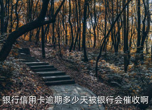 信用卡逾期哪个银行催收,哪个银行的信用卡过了期限会上门?