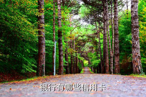 招商银行信用卡海南专项,招商银行信用卡种类介绍图