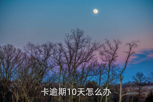 卡逾期10天怎么办