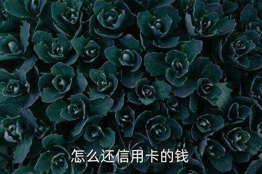 怎么还信用卡的钱