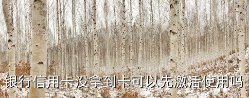 银行信用卡没拿到卡可以先激活使用吗