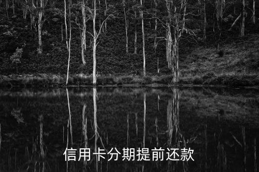 信用卡分期提前还款