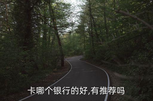 卡哪个银行的好,有推荐吗