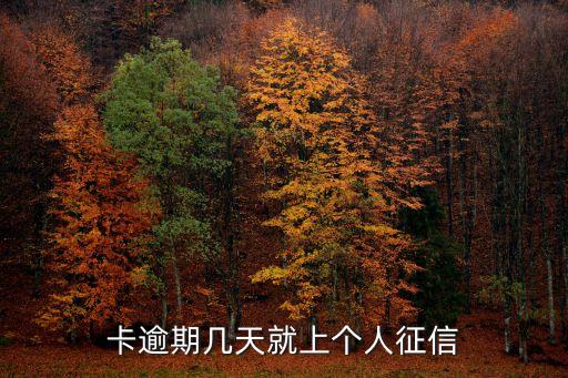 卡逾期几天就上个人征信