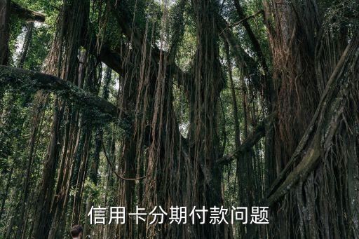 信用卡分期付款问题