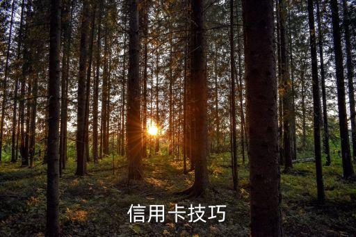 南京银行信用卡即借即还,信用卡代理是怎么操作的?