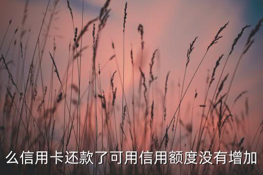 么信用卡还款了可用信用额度没有增加