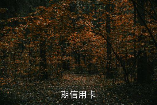 期信用卡