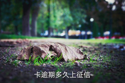 卡逾期多久上征信