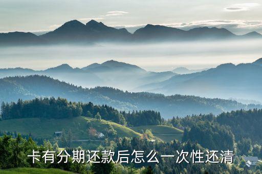 卡有分期还款后怎么一次性还清