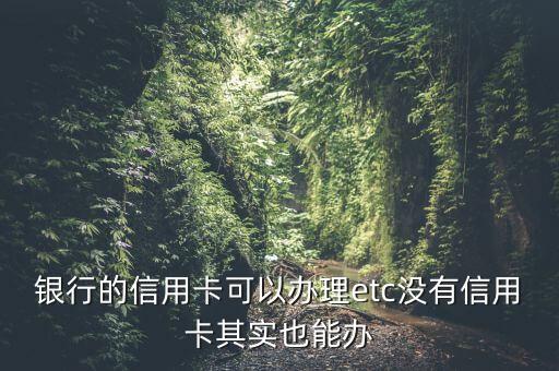 民生银行信用卡可以办理etc,etc支持什么类型的信用卡?