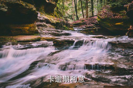 卡逾期利息