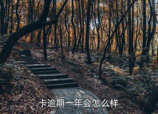 信用卡逾期了半年会怎么样,信用卡2020年逾期半年