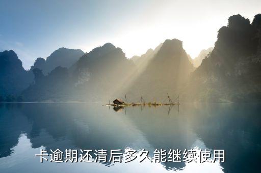卡逾期还清后多久能继续使用