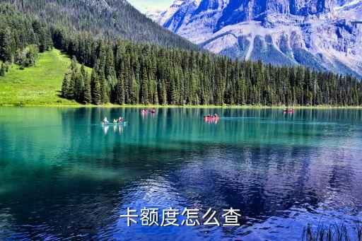 卡额度怎么查