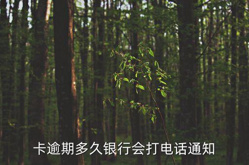 卡逾期多久银行会打电话通知
