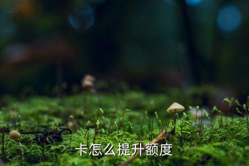 卡怎么提升额度
