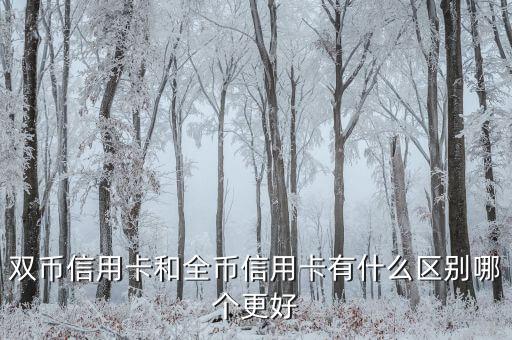 双币信用卡和全币信用卡有什么区别哪个更好