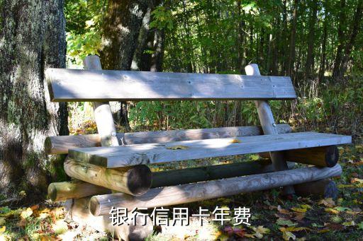 民生银行信用卡电话年费,中国民生银行