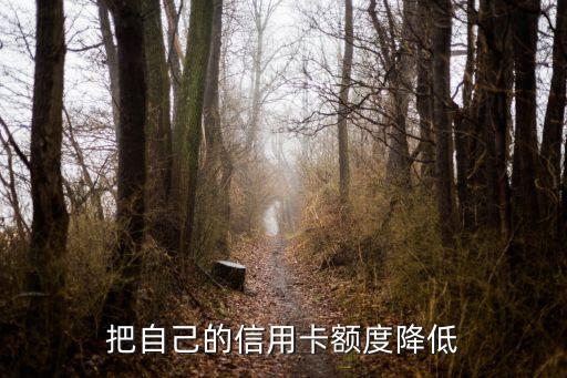 把自己的信用卡额度降低