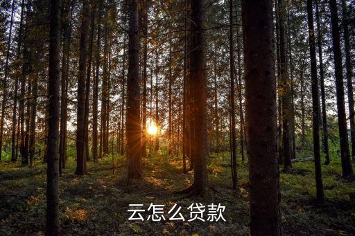 黔农云怎么添加信用卡还款,如何在柜台帮别人还钱农e贷?