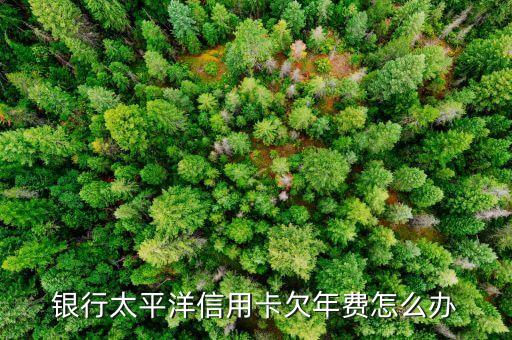 交通银行信用卡欠年费吗,交通银行信用卡年费是多少?
