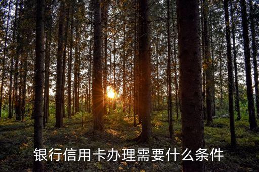银行信用卡办理需要什么条件